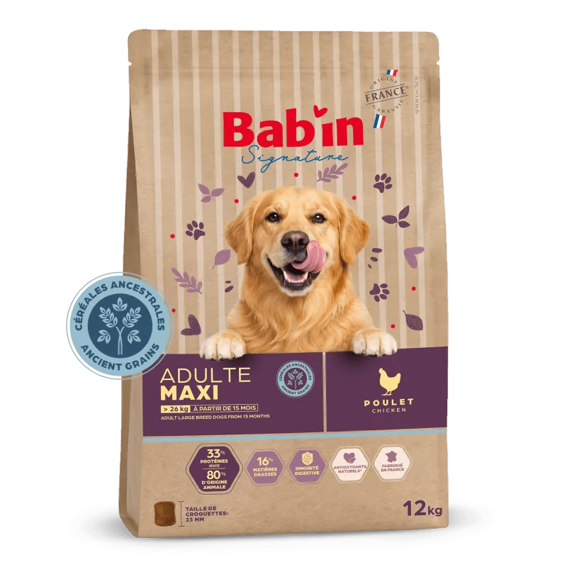 Bab'in Maxi Adulte Céréales Ancestrales