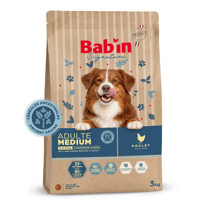 Bab'in Medium Adulte Céréales Ancestrales