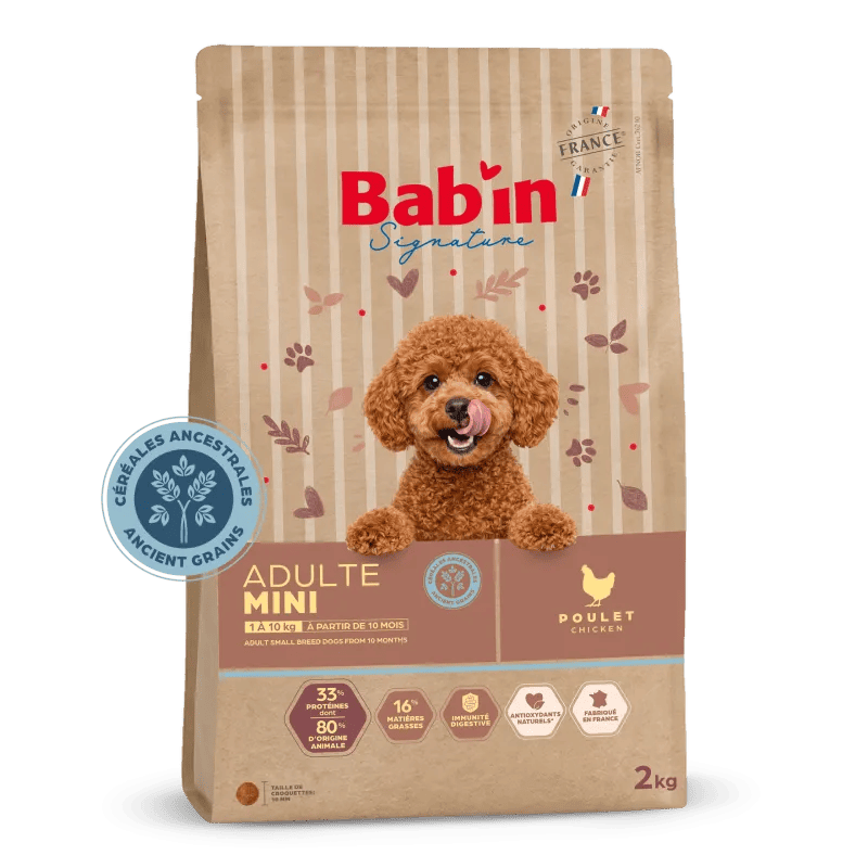 Bab'in Mini Adulte Céréales Ancestrales