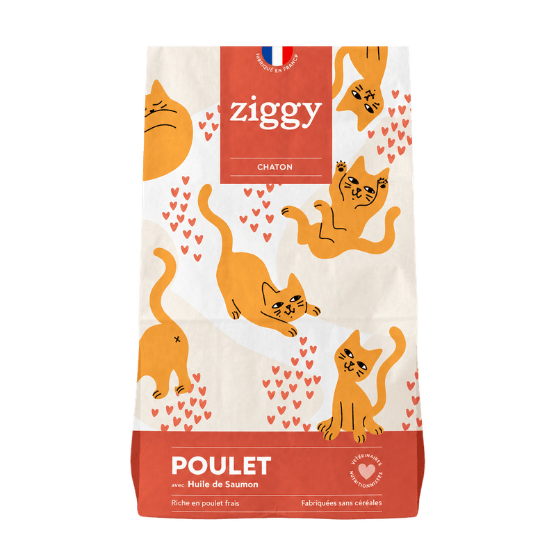 Ziggy Croquettes Chaton Sans Céréales Poulet & Huile de Saumon